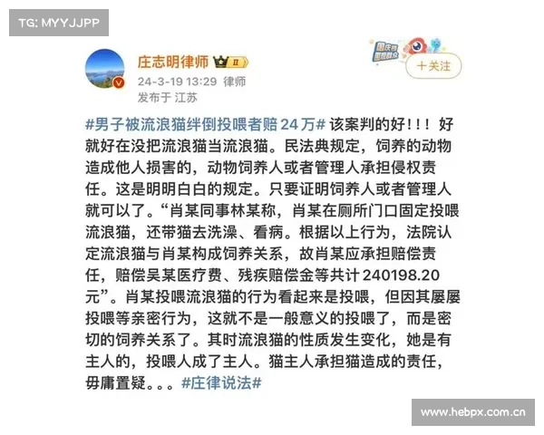 “男子被流浪猫绊倒”案再审宣判,投喂者从担全责到担20%责任 “男子被流浪猫绊倒”案再审宣判,投喂者从担全责到担20%责任